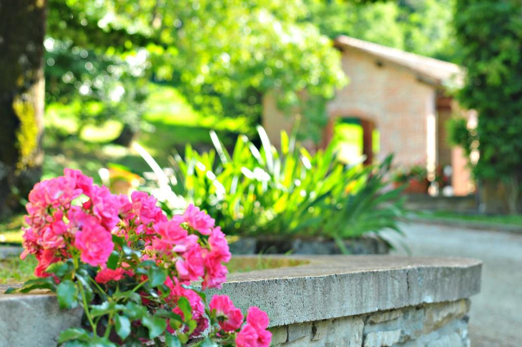 Agriturismo Popolano Di Sotto Marradi Exterior photo