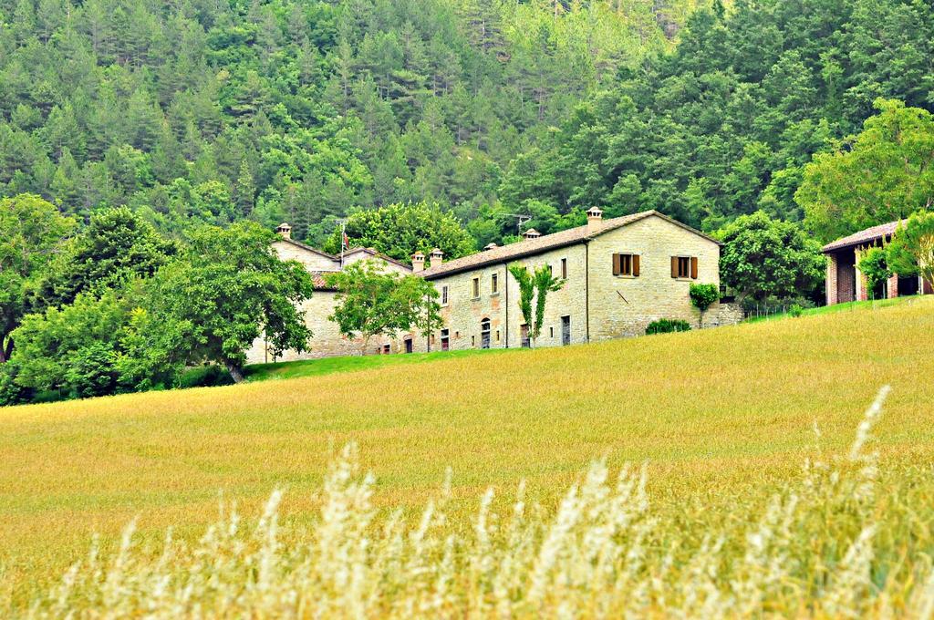 Agriturismo Popolano Di Sotto Marradi Exterior photo